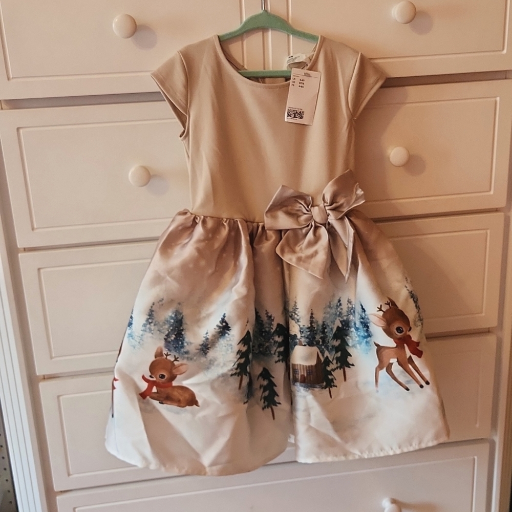 Little girls H&M winter reindeer dress NWT size 5t/6